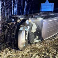 Uderzył w drzewo. Dwie osoby zabrane do szpitala