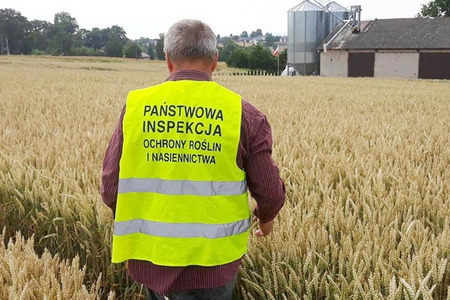 fot. Główny Inspektorat Ochrony Roślin i Nasiennictwa
