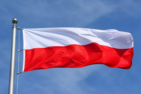 fot. poglądowe